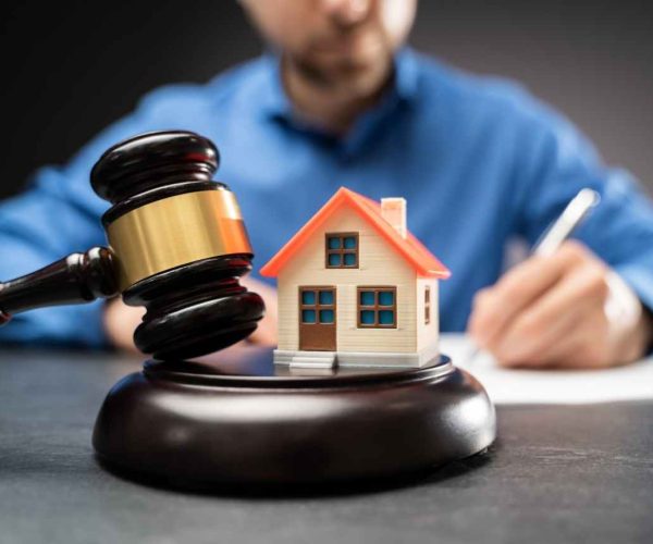 Untitled design (12)